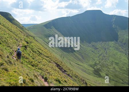 Homme marchant sur le sentier de Cribyn face, face nord-est de Pen y Fan Banque D'Images