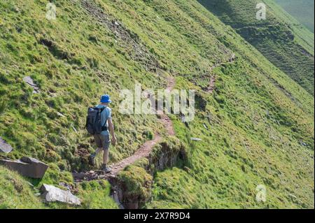 Homme marchant sur le sentier de Cribyn face, face nord-est de Pen y Fan Banque D'Images