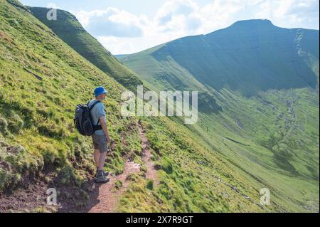 Homme marchant sur le sentier de Cribyn face, face nord-est de Pen y Fan Banque D'Images