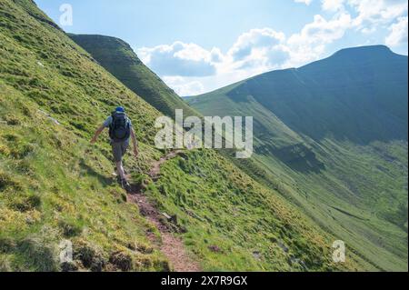 Homme marchant sur le sentier de Cribyn face, face nord-est de Pen y Fan Banque D'Images