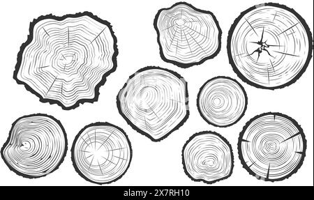 Tronc d'arbre coupe avec des fissures, coupe de scie à bois définie, texture de bois, segment d'anneaux de croissance d'arbre, vecteur Illustration de Vecteur