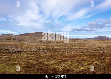 Paysage de la péninsule de Reykjanes, avec des champs de lave arides et anciens couverts de mousse et de montagnes en arrière-plan, ciel bleu. Banque D'Images