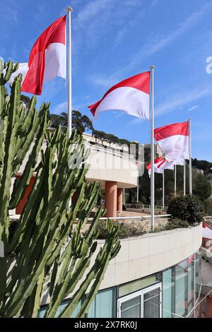 Monaco, Monaco - 19.03.2023 : drapeaux de Monaco flottant dans le vent près du rocher avec le château de Grimaldi Banque D'Images