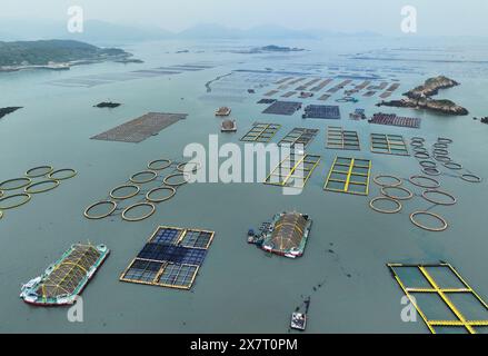 (240521) -- FUZHOU, 21 mai 2024 (Xinhua) -- une photo prise par un drone aérien le 7 mai 2024 montre une zone de mariculture dans le comté de Lianjiang à Fuzhou, dans la province du Fujian, au sud-est de la Chine. Située au bord de la mer de Chine orientale, la province du Fujian possède une superficie de 136 000 km carrés, un littoral accidenté et de nombreuses baies et îles, ce qui en fait un lieu idéal pour le développement de la mariculture. Au fil des ans, le Fujian s'est concentré sur l'augmentation des approvisionnements alimentaires de haute qualité pour la pêche marine et sur l'accélération de la modernisation de la mariculture tout en protégeant l'environnement écologique marin. En 2023, Fujian's mariculture ou Banque D'Images