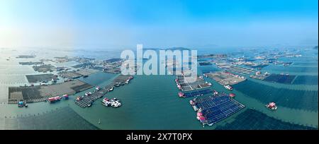 (240521) -- FUZHOU, 21 mai 2024 (Xinhua) -- une photo aérienne panoramique prise par drone le 11 janvier 2024 montre une zone de mariculture dans le comté de Xiapu, dans la province du Fujian, au sud-est de la Chine. Située au bord de la mer de Chine orientale, la province du Fujian possède une superficie de 136 000 km carrés, un littoral accidenté et de nombreuses baies et îles, ce qui en fait un lieu idéal pour le développement de la mariculture. Au fil des ans, le Fujian s'est concentré sur l'augmentation des approvisionnements alimentaires de haute qualité pour la pêche marine et sur l'accélération de la modernisation de la mariculture tout en protégeant l'environnement écologique marin. En 2023, la mariculture du Fujian est en panne Banque D'Images