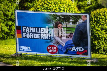 Lauchringen, Allemagne, 19 mai 2024 : affiche électorale pour alternatives pour l'Allemagne. (Photo Andreas Haas/dieBildmanufaktur) Banque D'Images