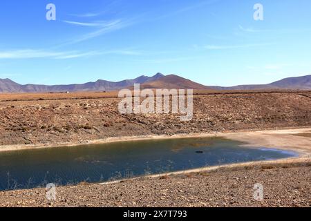 Embalse de los Molinos, Fuerteventura, Îles Canaries : faible niveau d'eau dans l'ancien réservoir Banque D'Images