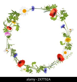 Couronne de belles fleurs sauvages isolées sur blanc Banque D'Images