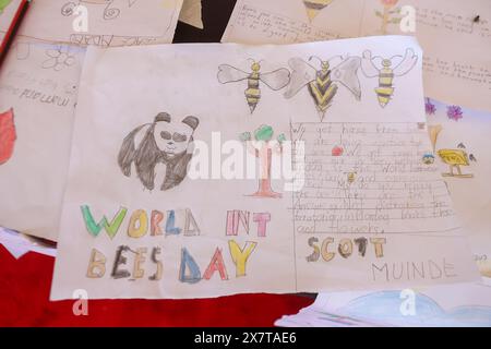 Art par l'un des enfants du club Panda qui enseigne aux enfants comment prendre soin de notre environnement vu sur l'exposition pendant la journée mondiale des abeilles. Associations apicoles locales en collaboration avec les organisations non gouvernementales (ONG) environnementales et le gouvernement du comté, y compris les agriculteurs, les étudiants, les écologistes, et des responsables gouvernementaux se sont réunis au stade Ildamat, dans le comté de Kajiado au Kenya, le 20 mai 2024 pour marquer la Journée mondiale des abeilles et sensibiliser les jeunes et les autres parties prenantes au rôle essentiel des abeilles et autres pollinisateurs dans l’agriculture, l’équilibre écologique et la biodiversité Banque D'Images