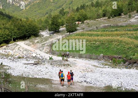 21 septembre 2023 - Valbona en Albanie : un homme avec deux ânes roule dans les Alpes albanaises Banque D'Images