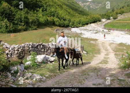 21 septembre 2023 - Valbona en Albanie : un homme avec deux ânes roule dans les Alpes albanaises Banque D'Images