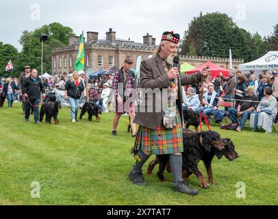 19 mai 2024. Gordon Castle Highland Games, Fochabers, Moray, Écosse. Ceci fait partie du rassemblement des Setters Gordon à leur château, Gordon Castl Banque D'Images