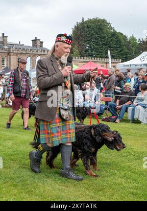 19 mai 2024. Gordon Castle Highland Games, Fochabers, Moray, Écosse. Ceci fait partie du rassemblement des Setters Gordon à leur château, Gordon Castl Banque D'Images