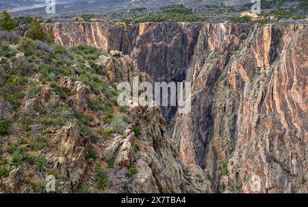 21 mai 2024 : de riches verts et rouges colorent les parois escarpées du canyon noir du parc national de Gunnison. Gunnison River Basin, Montrose, Colorado. (Crédit image : © Larry Clouse/CSM/Cal Sport Media) Banque D'Images