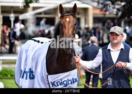 Horse BOTANICAL gagnant des Knights Solicitors Stakes Banque D'Images