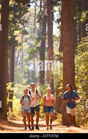 Jeune couple actif avec des amis portant des sacs à dos randonnée le long de Trail à travers la campagne Banque D'Images