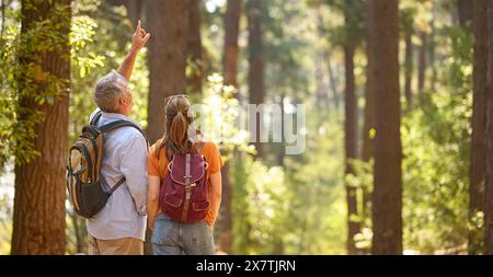 Vue arrière de l'homme senior pointant comme couple retraité randonnée le long du sentier dans la campagne Banque D'Images