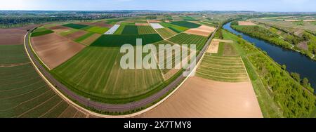 Landschaft BEI Lauffen, landwirtschaftliche Felder und Neckar. Luftaufnahme. 02.05.204 : Lauffen am Neckar, Bade-Württemberg, Deutschland *** Landscap Banque D'Images