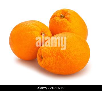 chemin ovale calabrique des oranges blondes isolé sur blanc Banque D'Images