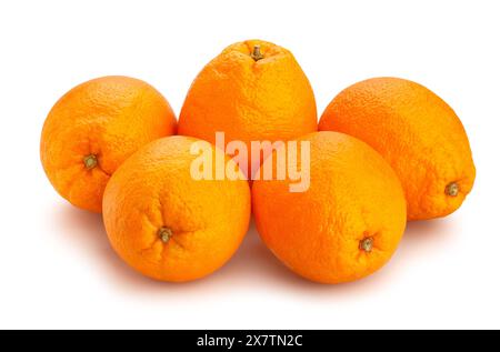 chemin ovale calabrique des oranges blondes isolé sur blanc Banque D'Images