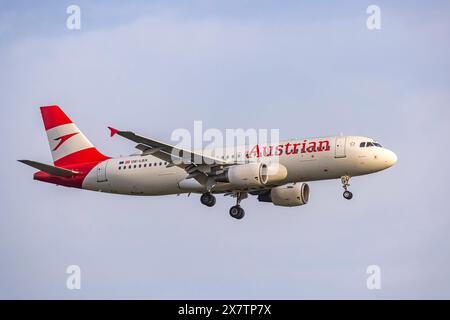 Flugzeug am Flughafen Francfort, Fraport. REGISTRIERUNG : OE-LBX, COMPAGNIES AÉRIENNES AUTRICHIENNES, AIRBUS A320-200. // 01.05 2024 : Francfort-sur-le-main, Hessen, Deutschland *** appareils à l'aéroport de Francfort, immatriculation Fraport OE LBX, AUSTRIAN AIRLINES, AIRBUS A320 200 01 05 2024 Francfort-sur-le-main, Hesse, Allemagne Banque D'Images