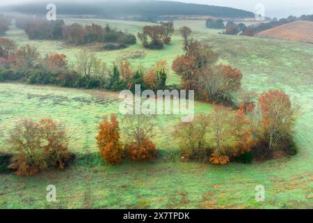 Vue aérienne des terres cultivées et des haies en automne avec brouillard. Ayegui, Navarre, Espagne, Europe. Banque D'Images