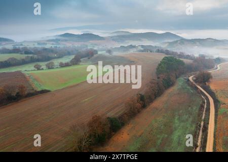 Vue aérienne des terres cultivées et des haies en automne avec brouillard. Ayegui, Navarre, Espagne, Europe. Banque D'Images