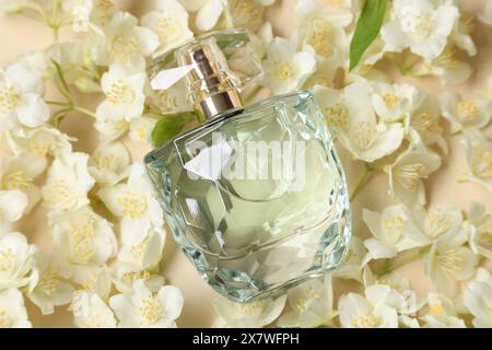 Bouteille de parfum aromatique parmi les fleurs de jasmin sur fond beige, pose plate Banque D'Images