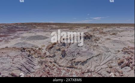 Des plaines d'argile grise sous Anvil Hill à l'ouest de Hamilili point dans le parc national Petrified Forest en Arizona. Banque D'Images