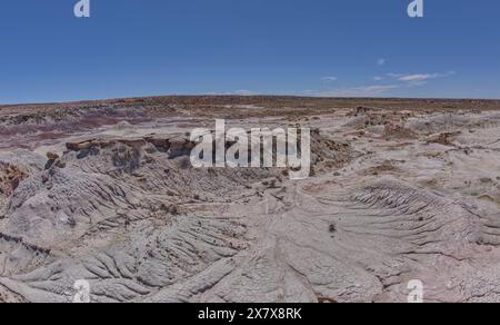 Des plaines d'argile grise sous Anvil Hill à l'ouest de Hamilili point dans le parc national Petrified Forest en Arizona. Banque D'Images