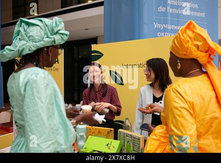 Rome, Italie. 21 mai 2024. Les visiteurs sénégalais en apprennent plus sur le thé chinois lors d'un événement de célébration de la Journée internationale du thé au siège de l'Organisation des Nations Unies pour l'alimentation et l'agriculture à Rome, en Italie, le 21 mai 2024. L'Organisation des Nations Unies pour l'alimentation et l'agriculture a organisé un événement à son siège à Rome, la capitale italienne, mettant l'accent sur le rôle crucial joué par les femmes dans l'industrie du thé et les approches pour les aider à surmonter les défis auxquels elles sont confrontées. Crédit : Li Jing/Xinhua/Alamy Live News Banque D'Images