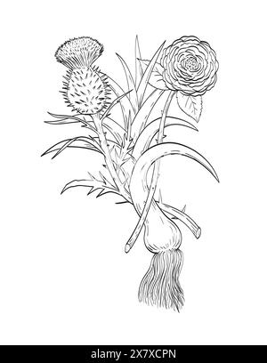 Dessin au trait illustration de style esquisse de quatre emblèmes représentant les nations de Grande-Bretagne GB, la rose anglaise, le poireau gallois et le chardon écossais Illustration de Vecteur