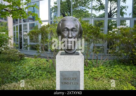 Büste Albert Einstein, Straße der Erinnerung, Spreebogen, Moabit, Mitte, Berlin, Deutschland *** buste d'Albert Einstein, rue du souvenir, Spreebogen, Moabit, Mitte, Berlin, Allemagne Banque D'Images