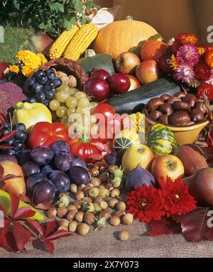 Stillife : fruits d'automne arrangés. Banque D'Images