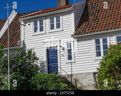 Maison en bois blanc avec jardin et buissons fleuris contre un ciel ensoleillé, maisons en bois blanc avec arbres verts et fleurs contre un ciel bleu, Stavange Banque D'Images