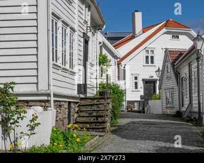 Étroite rue pavée bordée de maisons en bois blanc, de fleurs et d'un ciel bleu clair, maisons en bois blanc avec des arbres verts et des fleurs contre un SK bleu Banque D'Images