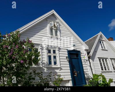 Maison blanche avec porte peinte en bleu et toit en tuiles rouges sous ciel clair, maisons en bois blanc avec toit rouge devant le ciel bleu, arbres et clôtures blanches Banque D'Images