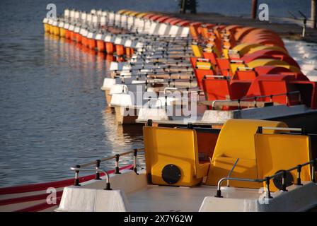 Rangée de pédalos de différentes couleurs sur la rive du lac, eau calme et lumière automnale douce, bateaux à rames et pédalos sur une petite jetée en bois en t Banque D'Images