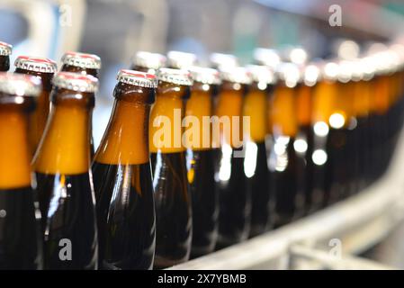 Les bouteilles de bière sur la chaîne de montage dans une brasserie moderne - industriels dans l'industrie alimentaire Banque D'Images