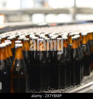 Les bouteilles de bière sur la chaîne de montage dans une brasserie moderne - industriels dans l'industrie alimentaire Banque D'Images