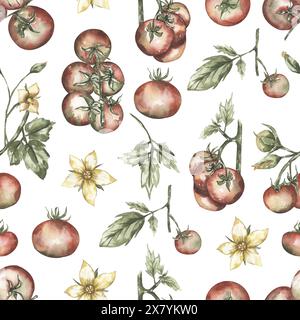 Motif sans couture de tomate aquarelle, cycle de vie de la nature avec des plantes répètent du papier, fond textile de plante de jardin Banque D'Images