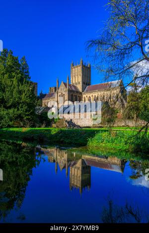 La cathédrale de Wells avec un reflet presque parfait dans une piscine dans les jardins du palais de l'évêque, Somerset, Angleterre, Royaume-Uni Banque D'Images