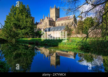 La cathédrale de Wells avec un reflet presque parfait dans une piscine dans les jardins du palais de l'évêque, Somerset, Angleterre, Royaume-Uni Banque D'Images