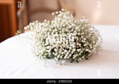 Bouquet de gypsophila comme décoration pour un mariage Banque D'Images