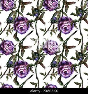 Aquarelle sans couture motif botanique réaliste pivoine violette petite floraison sur fond blanc Banque D'Images