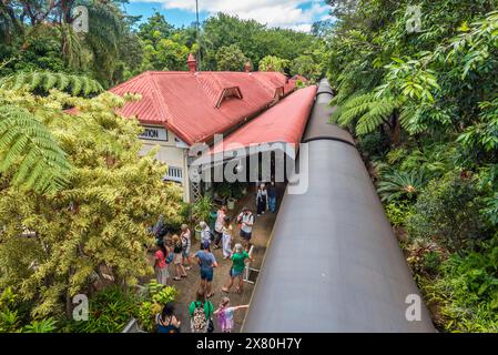 Les gens montent et quittent le train à la gare de Kuranda, classée au patrimoine mondial, sur le Kuranda Scenic Railway dans le nord du Queensland, en Australie Banque D'Images