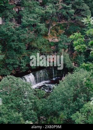 Sgwd ISAF Clun-Gwyn cascades sur la rivière Mellte, à environ 20 mètres de hauteur, entouré de magnifiques bois, Brecon Beacons Wales UK Banque D'Images