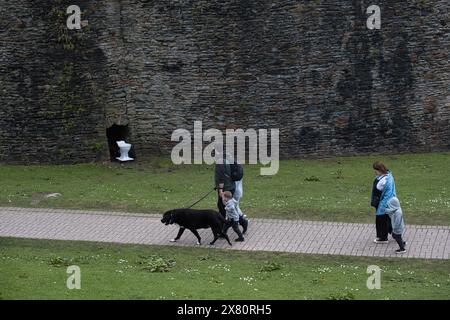 April Fools Fun avec une toilette à la base de l'une des tours du mur du château de Caerphilly au début du printemps, pays de Galles Banque D'Images