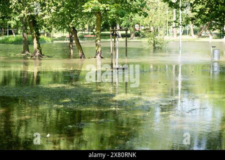 Parc urbain inondé après une tempête de grêle. Gniezno, Pologne. 05.20.2024. Banque D'Images