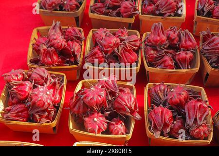 Paniers contenant des fruits de la roselle ou des rosells (Hibiscus sabdariffa) en vente sur un marché fermier de Sarasota, Floride. Les fruits peuvent être bouillis Banque D'Images